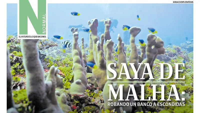 banco saya SITIO1